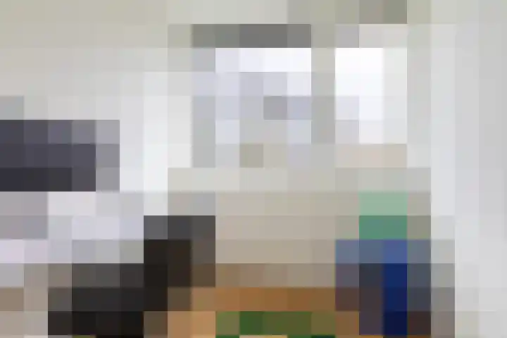 Slinger 38 Beuningen Gld thumbnail 10