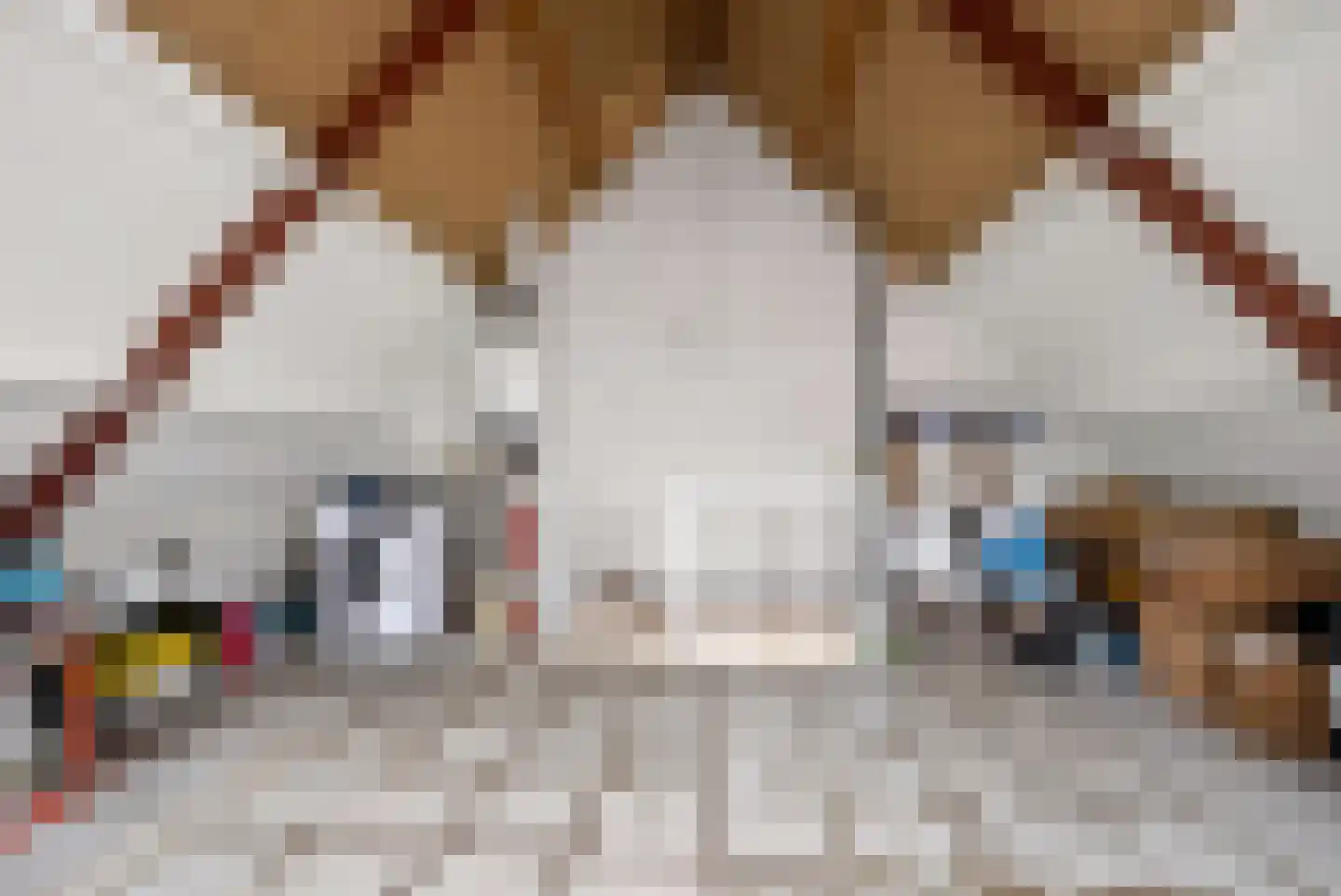 Slinger 38 Beuningen Gld thumbnail 31