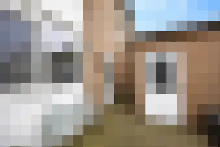 Slinger 38 Beuningen Gld thumbnail 33