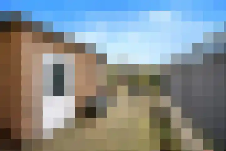 Slinger 38 Beuningen Gld thumbnail 35