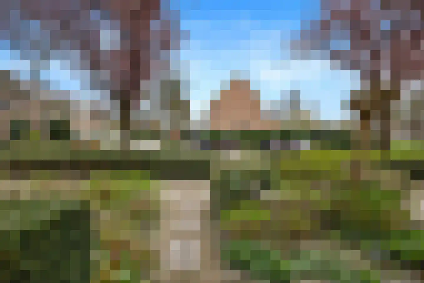 Slinger 38 Beuningen Gld thumbnail 41