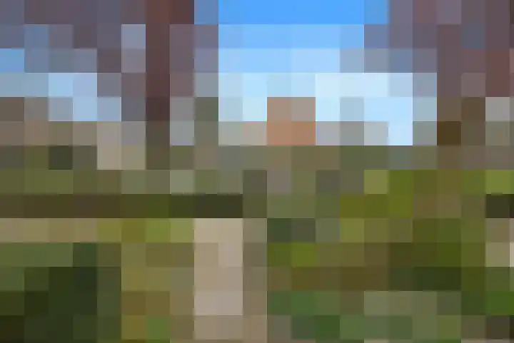 Slinger 38 Beuningen Gld thumbnail 41