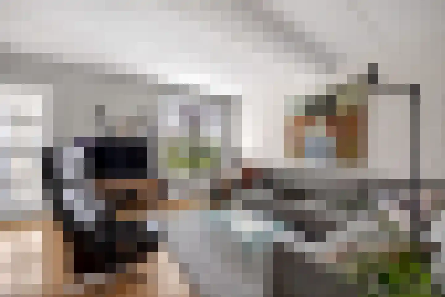 Slinger 38 Beuningen Gld thumbnail 7
