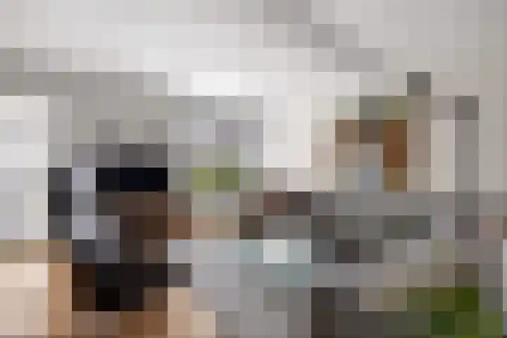 Slinger 38 Beuningen Gld thumbnail 7