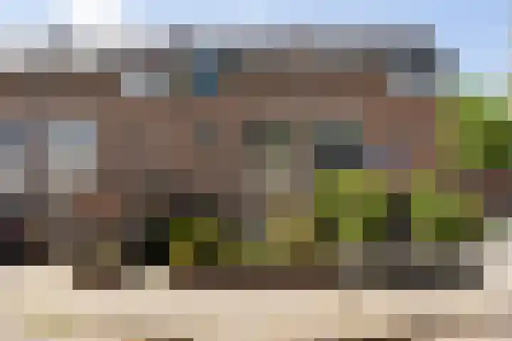 Slinger 46 in Beuningen Gld