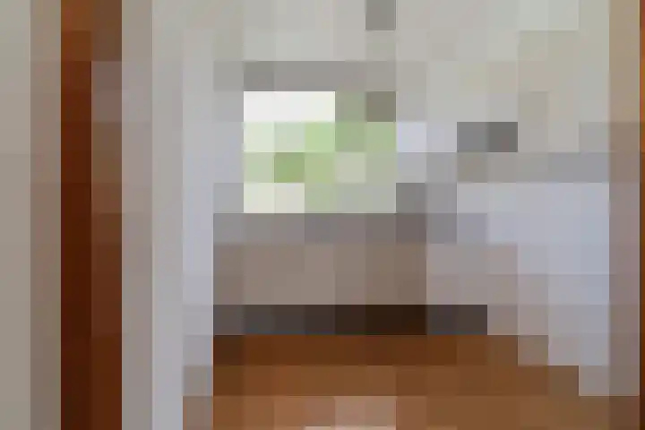 Slinger 46 Beuningen Gld thumbnail 12