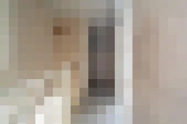 Slinger 46 Beuningen Gld thumbnail 17