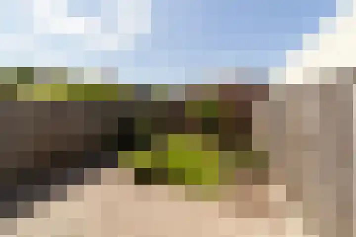 Slinger 46 Beuningen Gld thumbnail 21