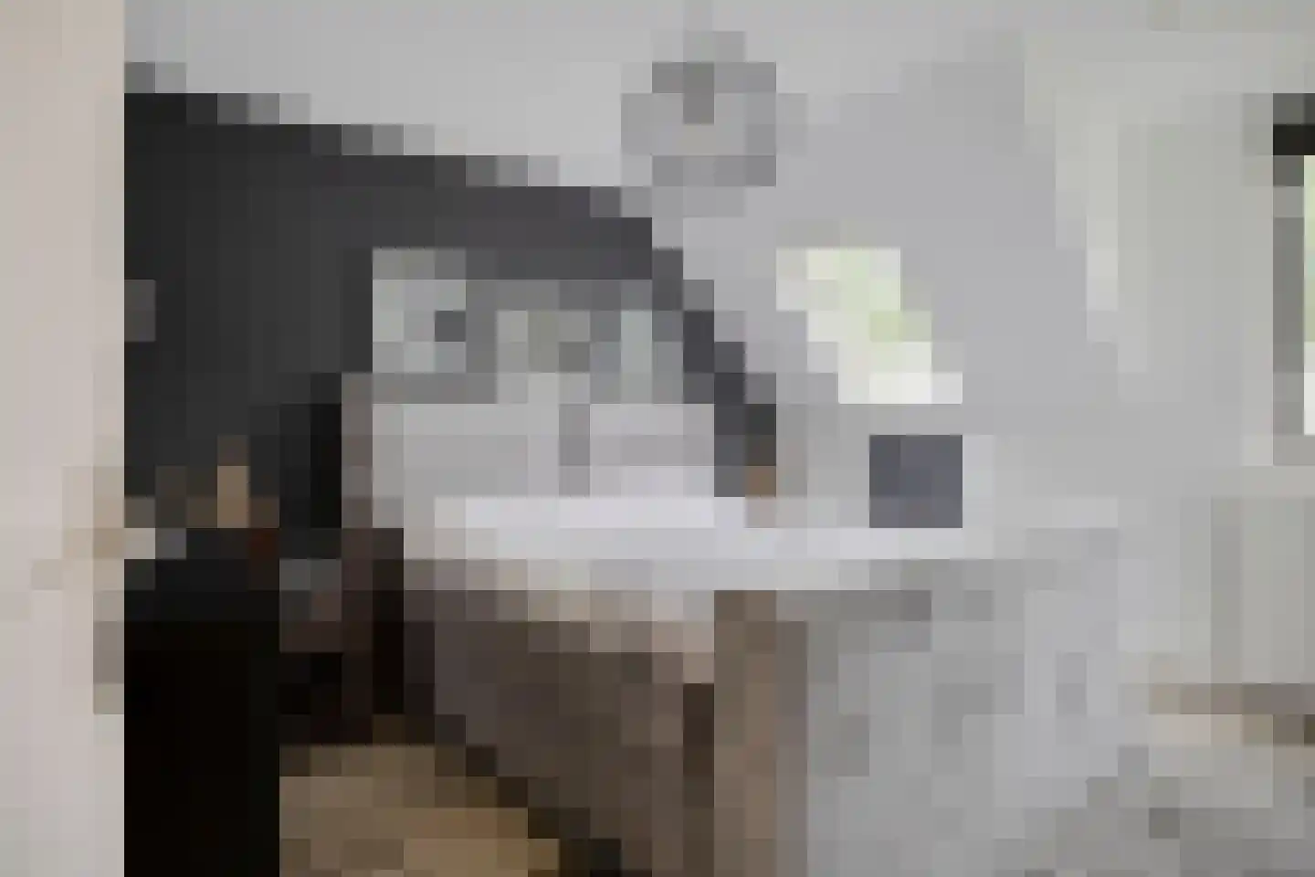 Slinger 68 Beuningen Gld thumbnail 14