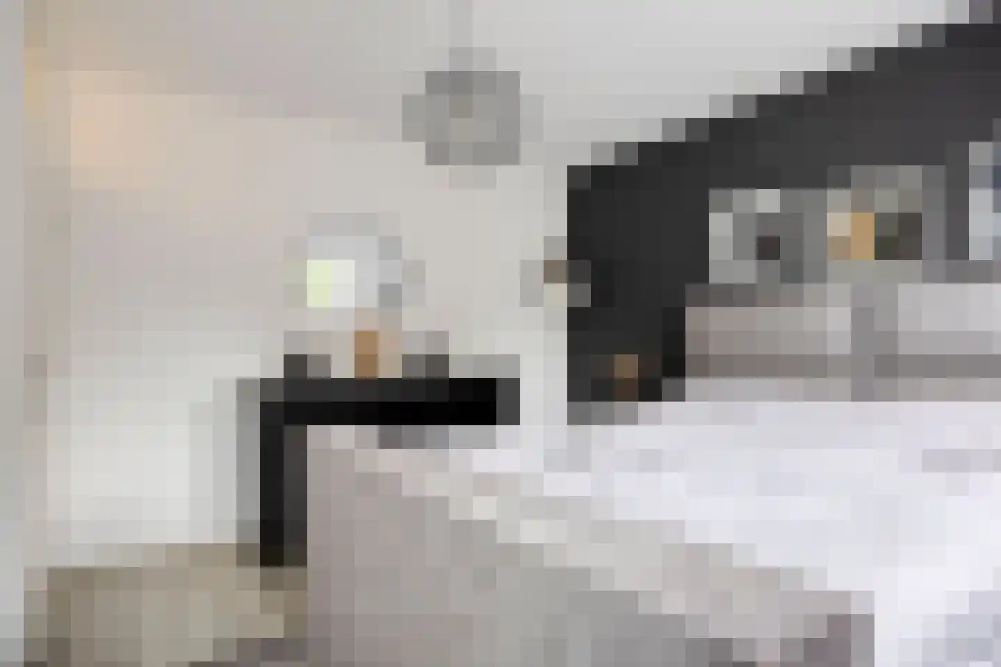Slinger 68 Beuningen Gld thumbnail 15