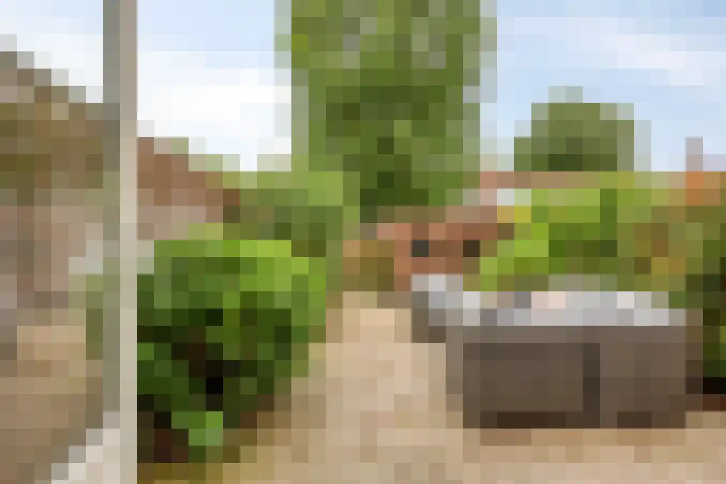 Slinger 68 Beuningen Gld thumbnail 27