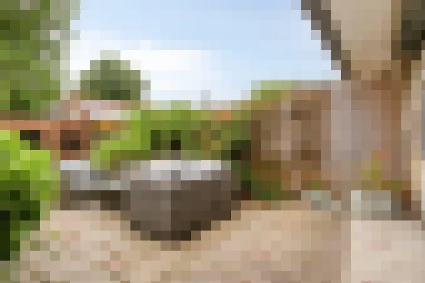 Slinger 68 Beuningen Gld thumbnail 28