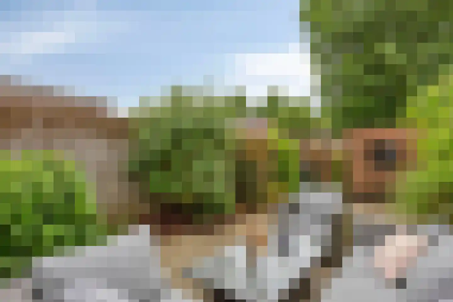 Slinger 68 Beuningen Gld thumbnail 29