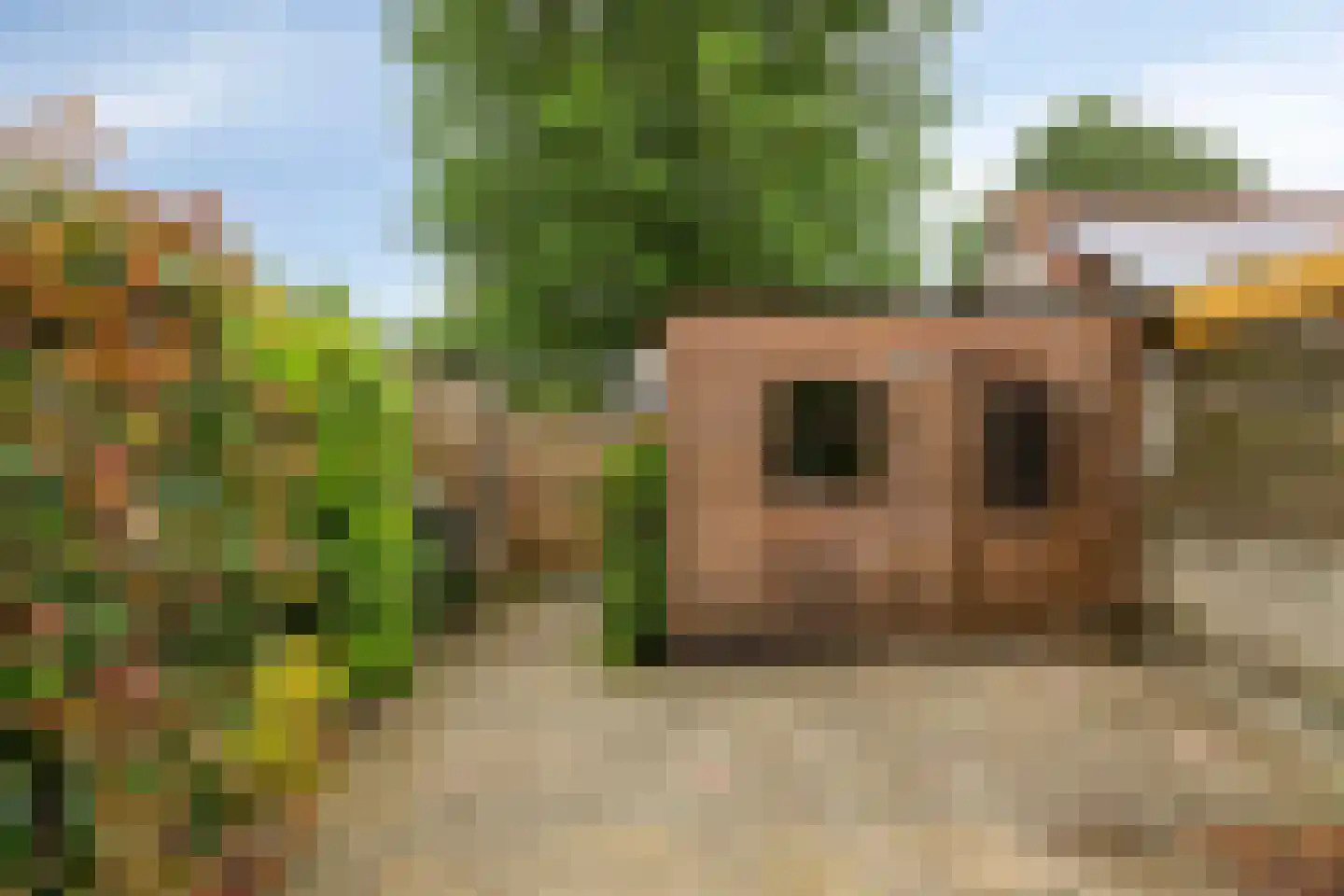 Slinger 68 Beuningen Gld thumbnail 30