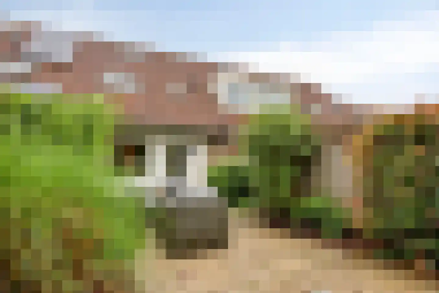 Slinger 68 Beuningen Gld thumbnail 31