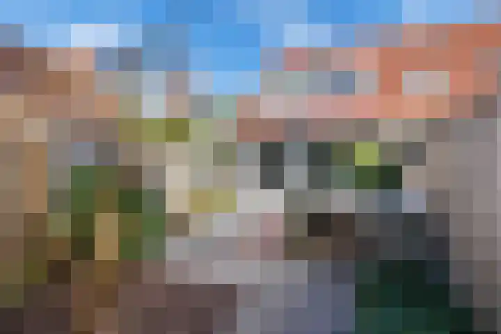 Slinger 73 Beuningen Gld thumbnail 22
