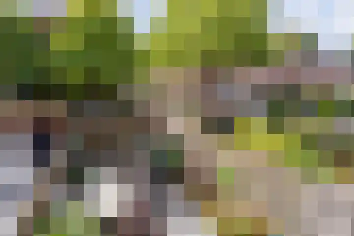 Slinger 73 Beuningen Gld thumbnail 42