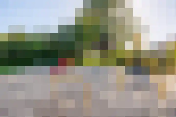 Slinger 73 Beuningen Gld thumbnail 47