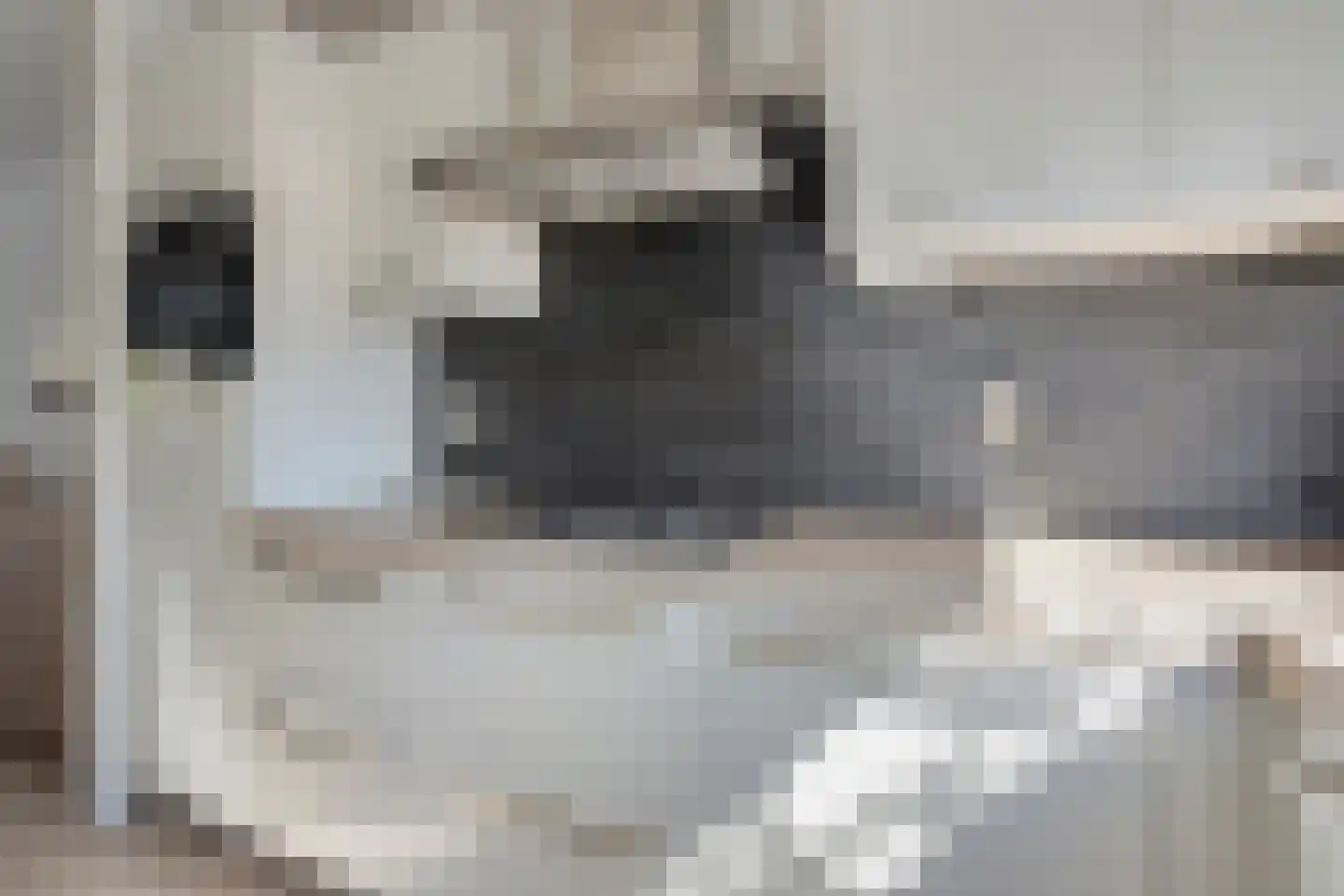 Slinger 75 Beuningen Gld thumbnail 10