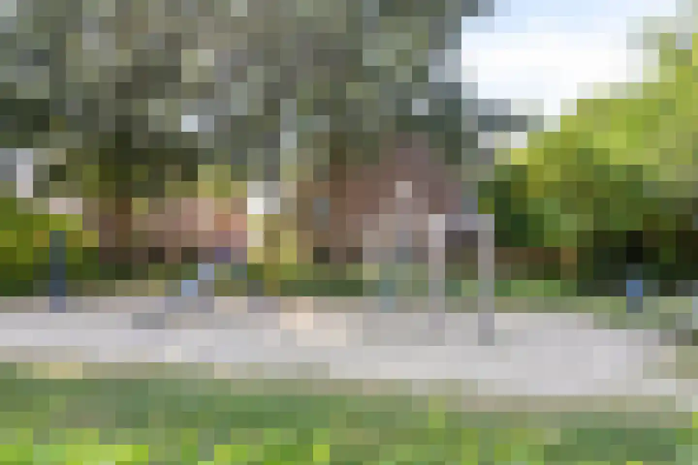 Slinger 75 Beuningen Gld thumbnail 31