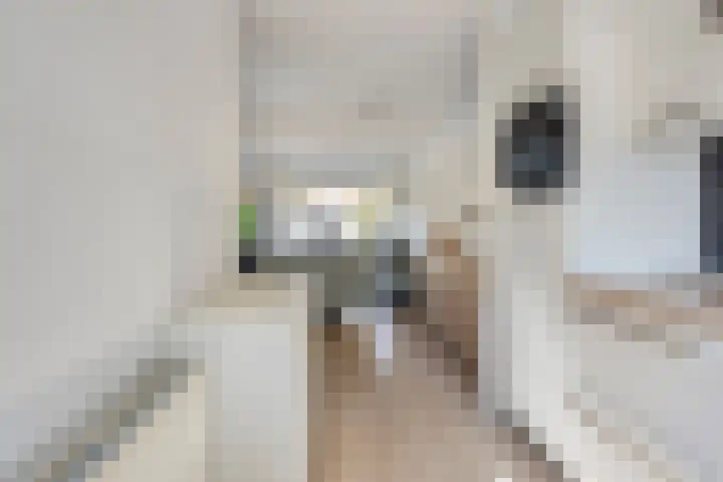 Slinger 75 Beuningen Gld thumbnail 8