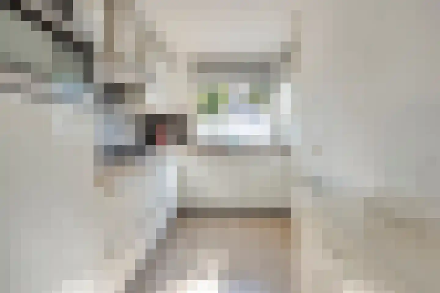 Slinger 75 Beuningen Gld thumbnail 9