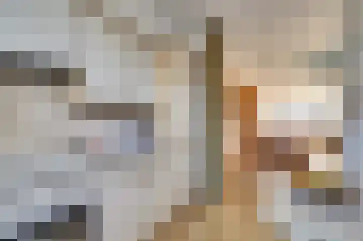 Slinger 77 Beuningen Gld thumbnail 12