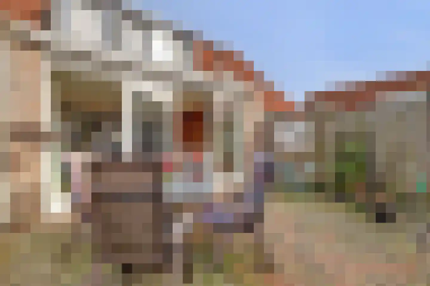 Slinger 77 Beuningen Gld thumbnail 28