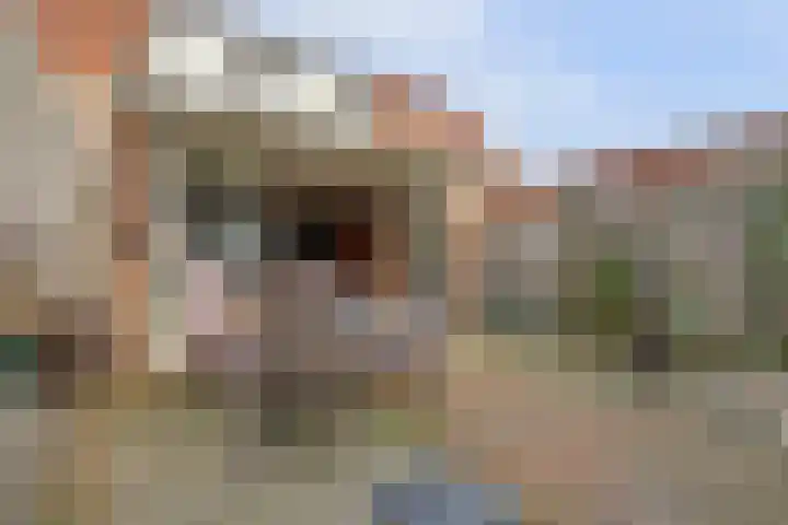 Slinger 77 Beuningen Gld thumbnail 29