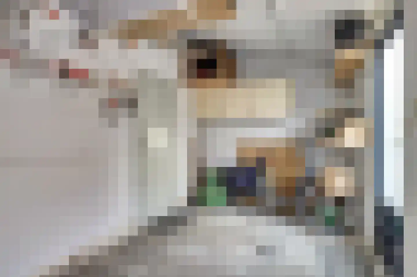 Slinger 77 Beuningen Gld thumbnail 35