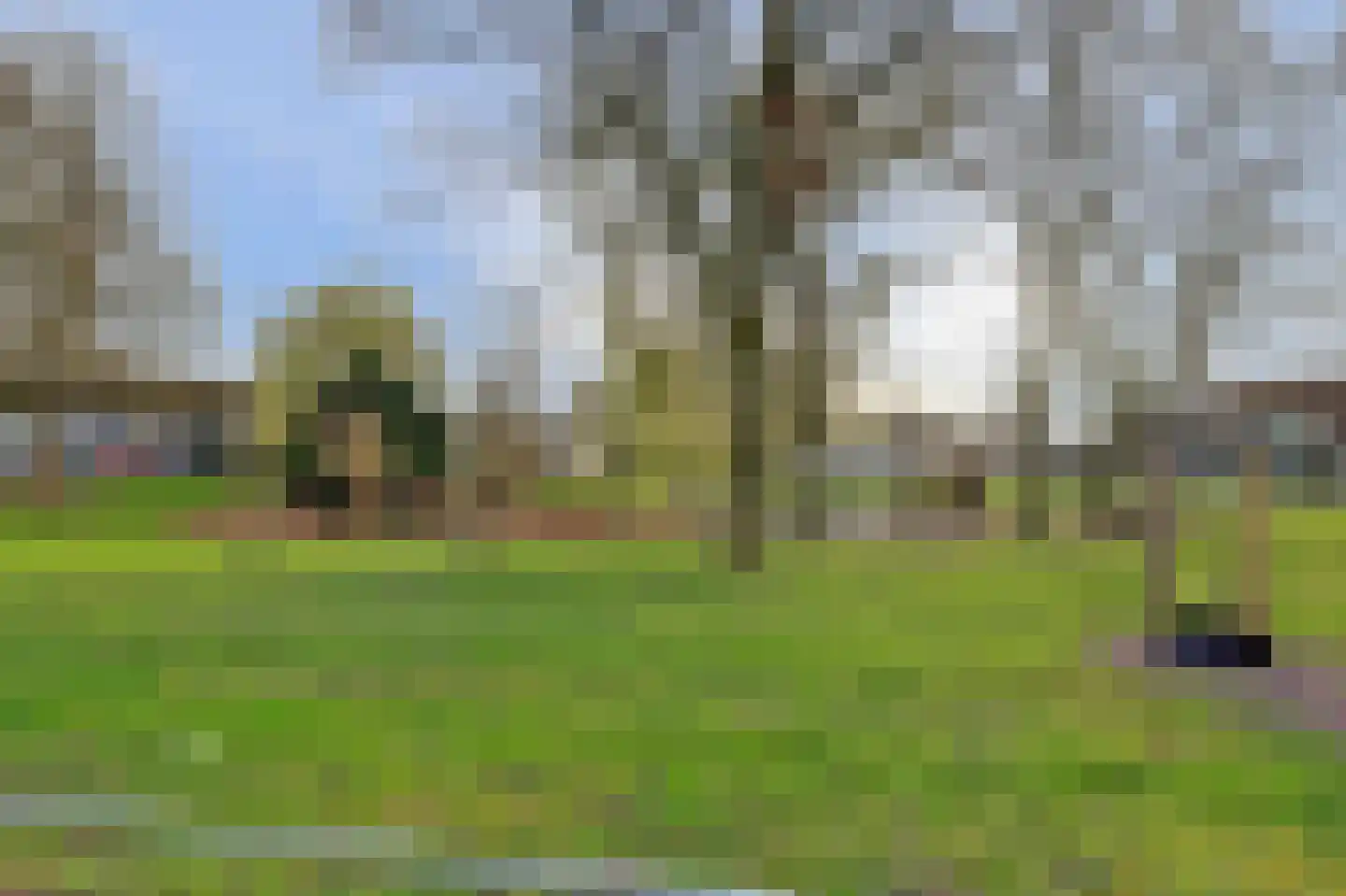 Slinger 77 Beuningen Gld thumbnail 41