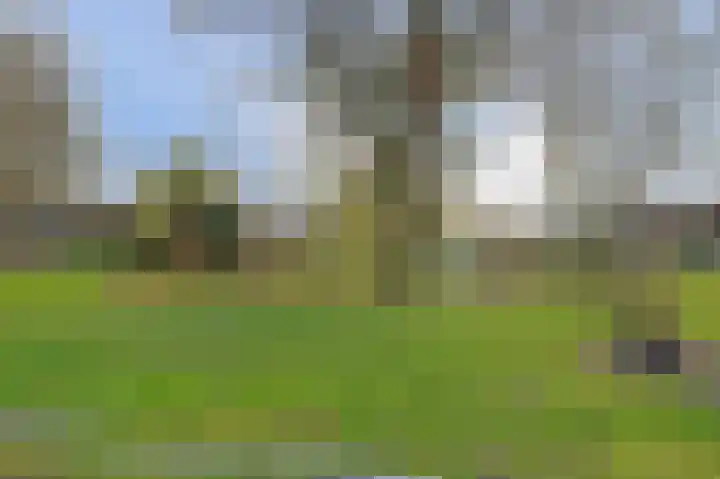 Slinger 77 Beuningen Gld thumbnail 41