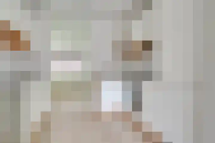 Slingeraklaan 103 Utrecht thumbnail 16