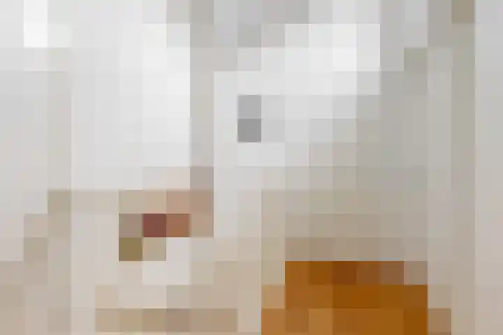 Slingeraklaan 137 Utrecht thumbnail 17
