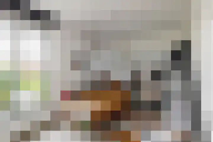Slingeraklaan 137 Utrecht thumbnail 18