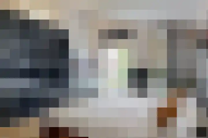 Slingeraklaan 137 Utrecht thumbnail 26