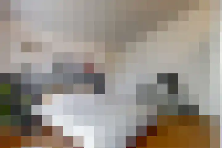 Slingeraklaan 137 Utrecht thumbnail 28