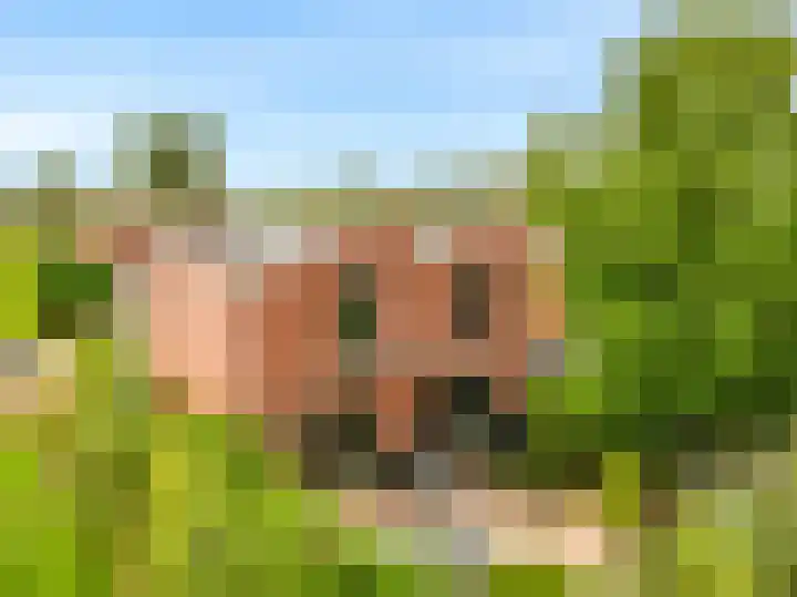 Slingeraklaan 137 Utrecht thumbnail 32