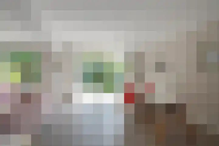 Slingeraklaan 172 Utrecht thumbnail 18
