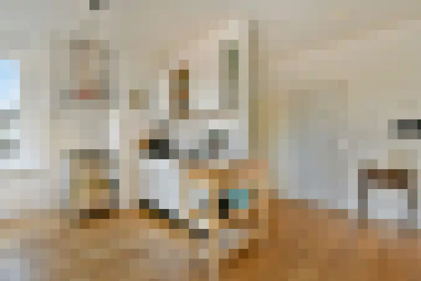 Slingerbeekstraat 27 3 Amsterdam thumbnail 7
