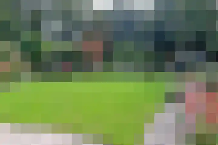 Slingerbos 10 Steenwijk thumbnail 10
