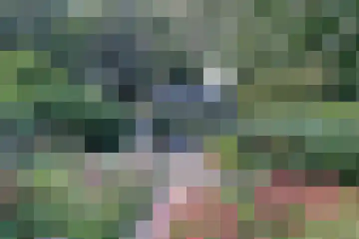 Slingerbos 10 Steenwijk thumbnail 11