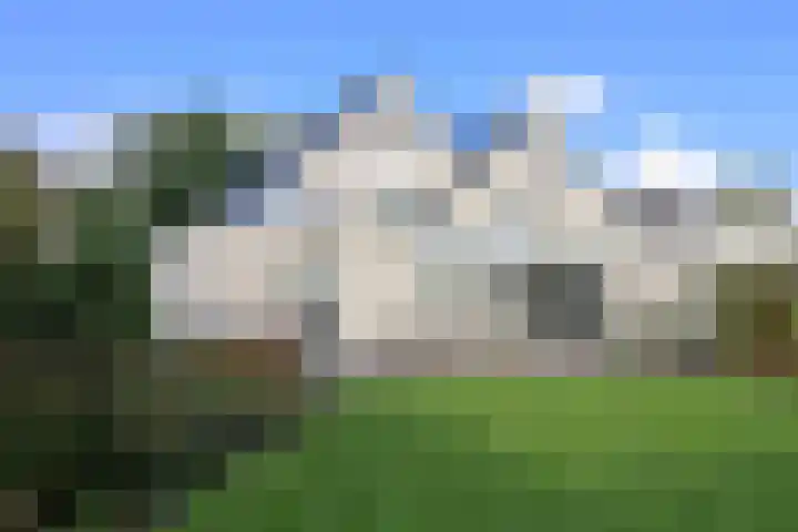 Slingerbos 10 Steenwijk thumbnail 13