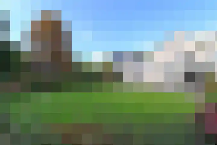 Slingerbos 10 Steenwijk thumbnail 14