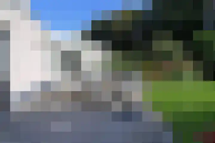 Slingerbos 10 Steenwijk thumbnail 17