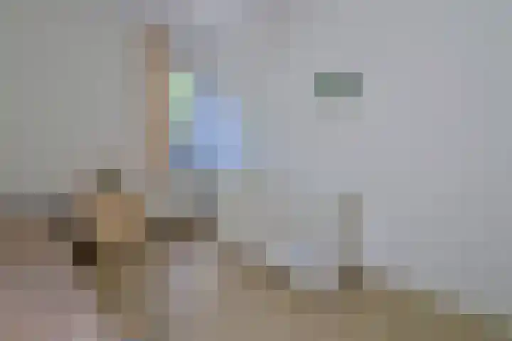 Slingerbos 10 Steenwijk thumbnail 38