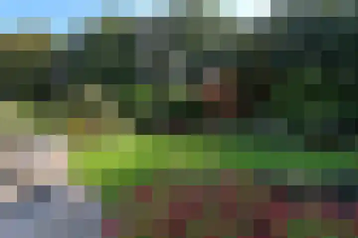 Slingerbos 10 Steenwijk thumbnail 4