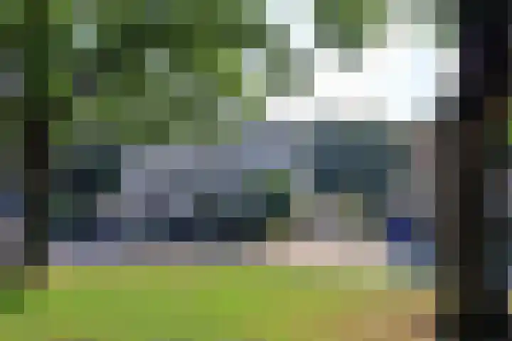 Slingerbos 10 Steenwijk thumbnail 7