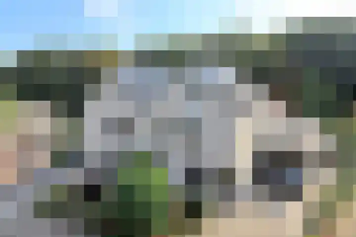 Slingerbos 10 Steenwijk thumbnail 8