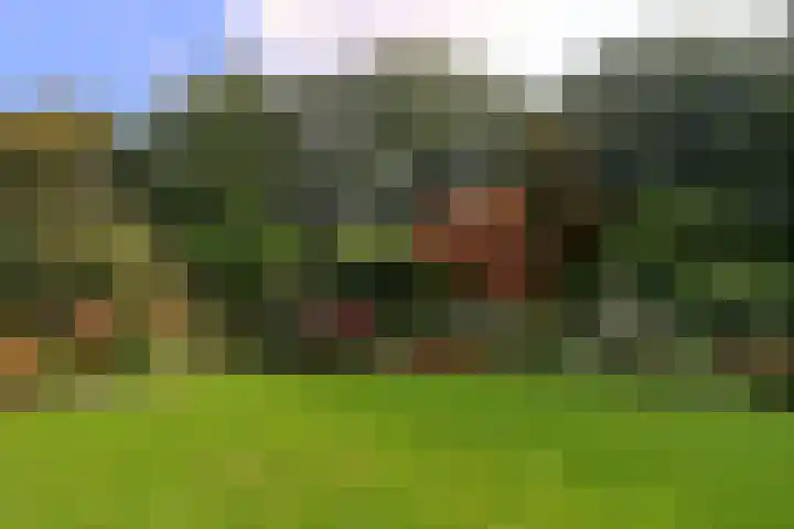 Slingerbos 10 Steenwijk thumbnail 9